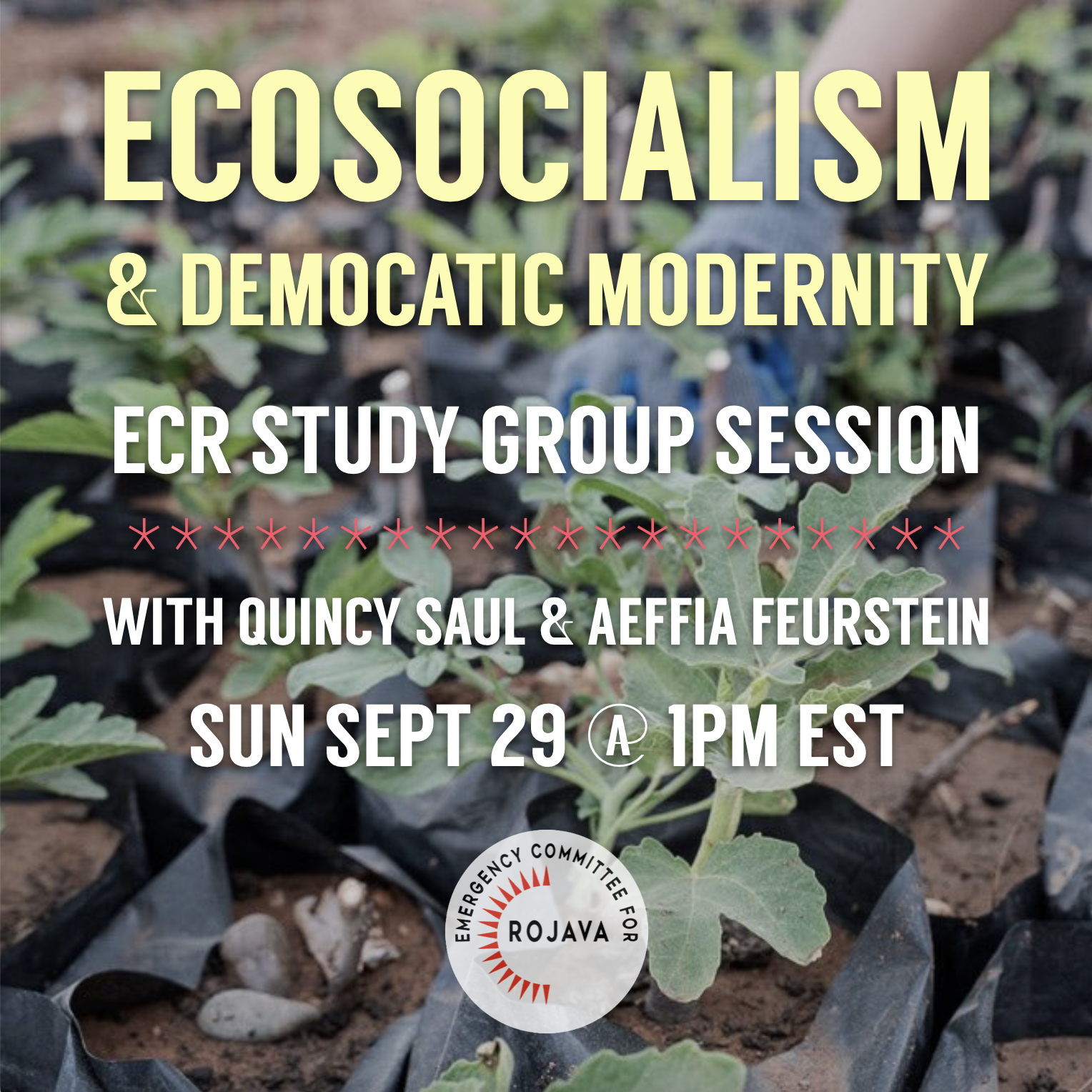 Study Group: Ecosocialism & Democratic Modernity