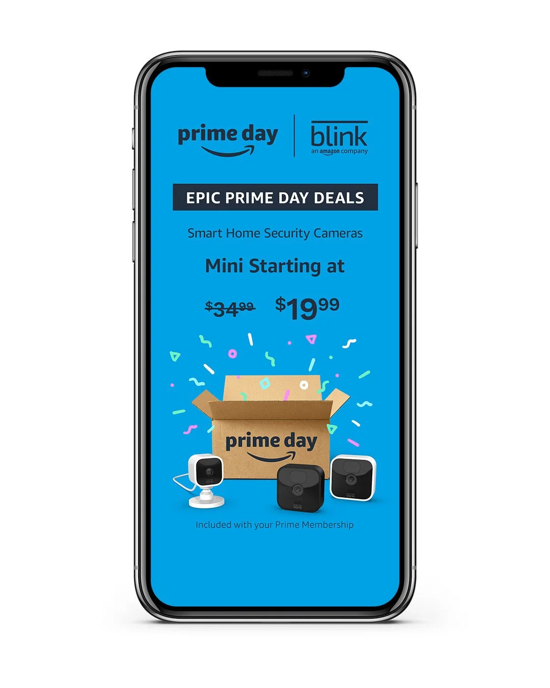 prime 4.jpg