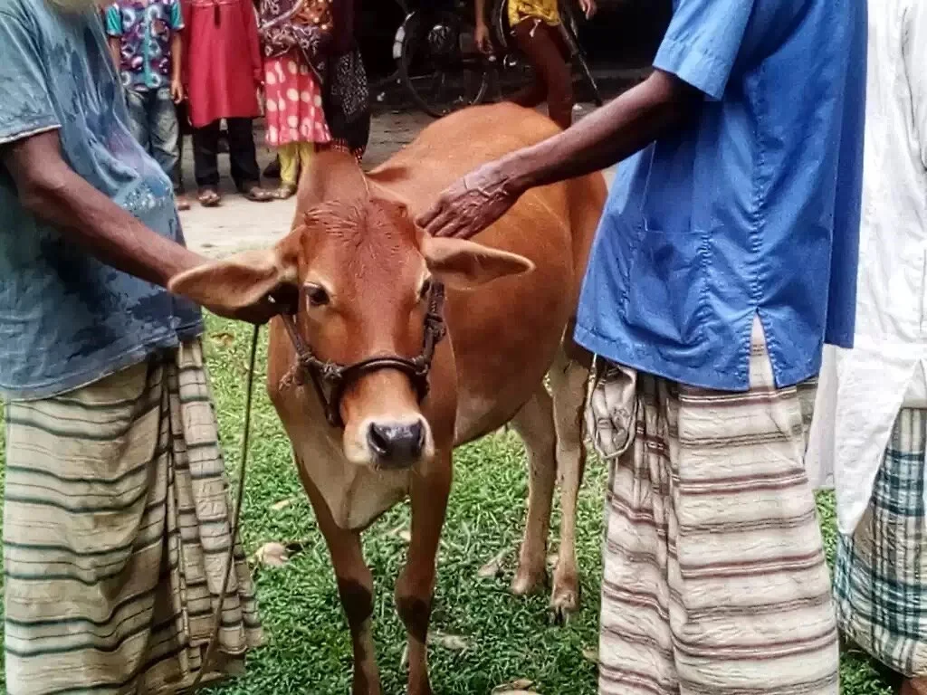 Meat distribution during Eid al-Adha