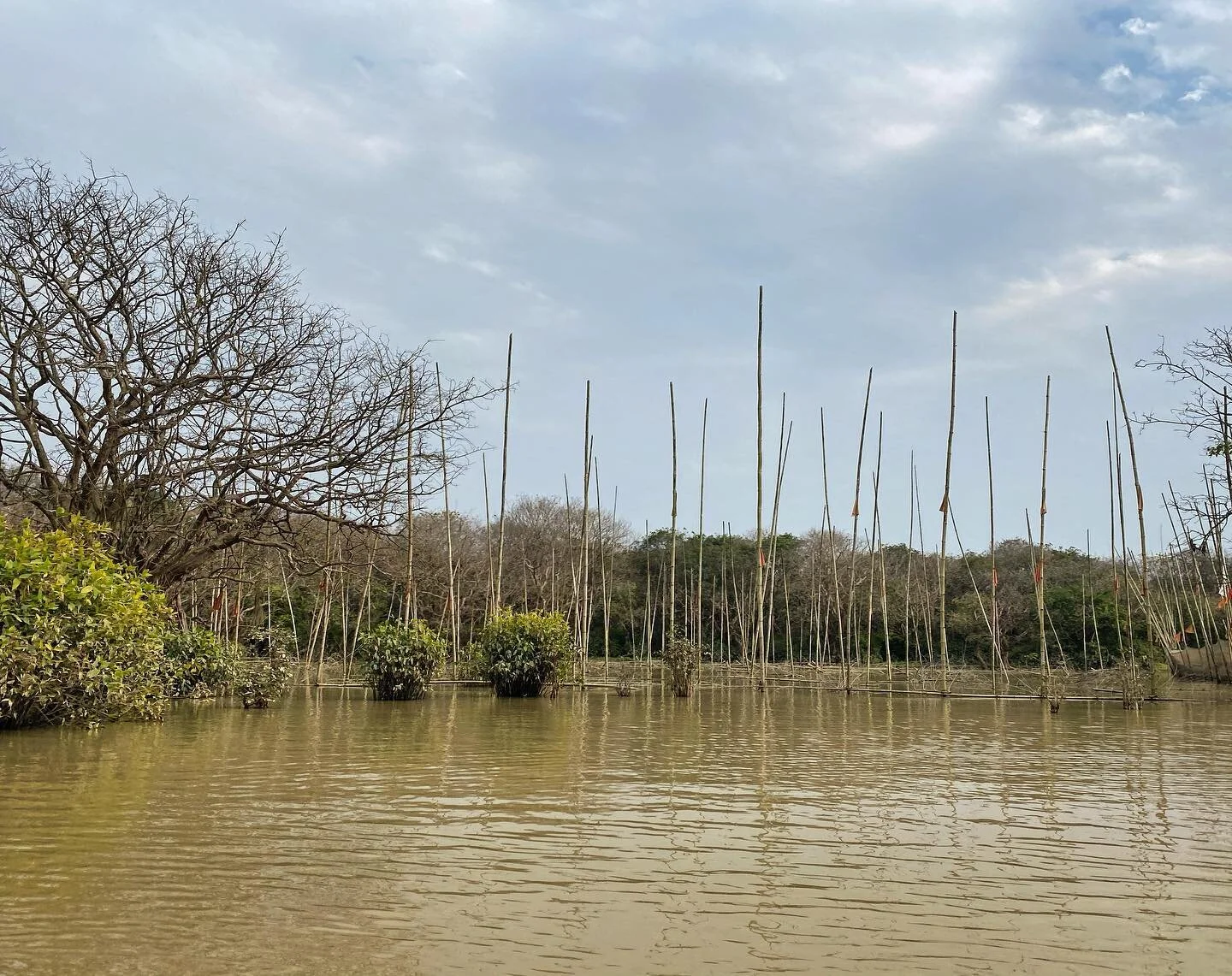 Aquaculture and fisheries at beautiful Gowain River, Ratargul Swamp Forest, Sylhet, Bangladesh
📸: @bmhossain_