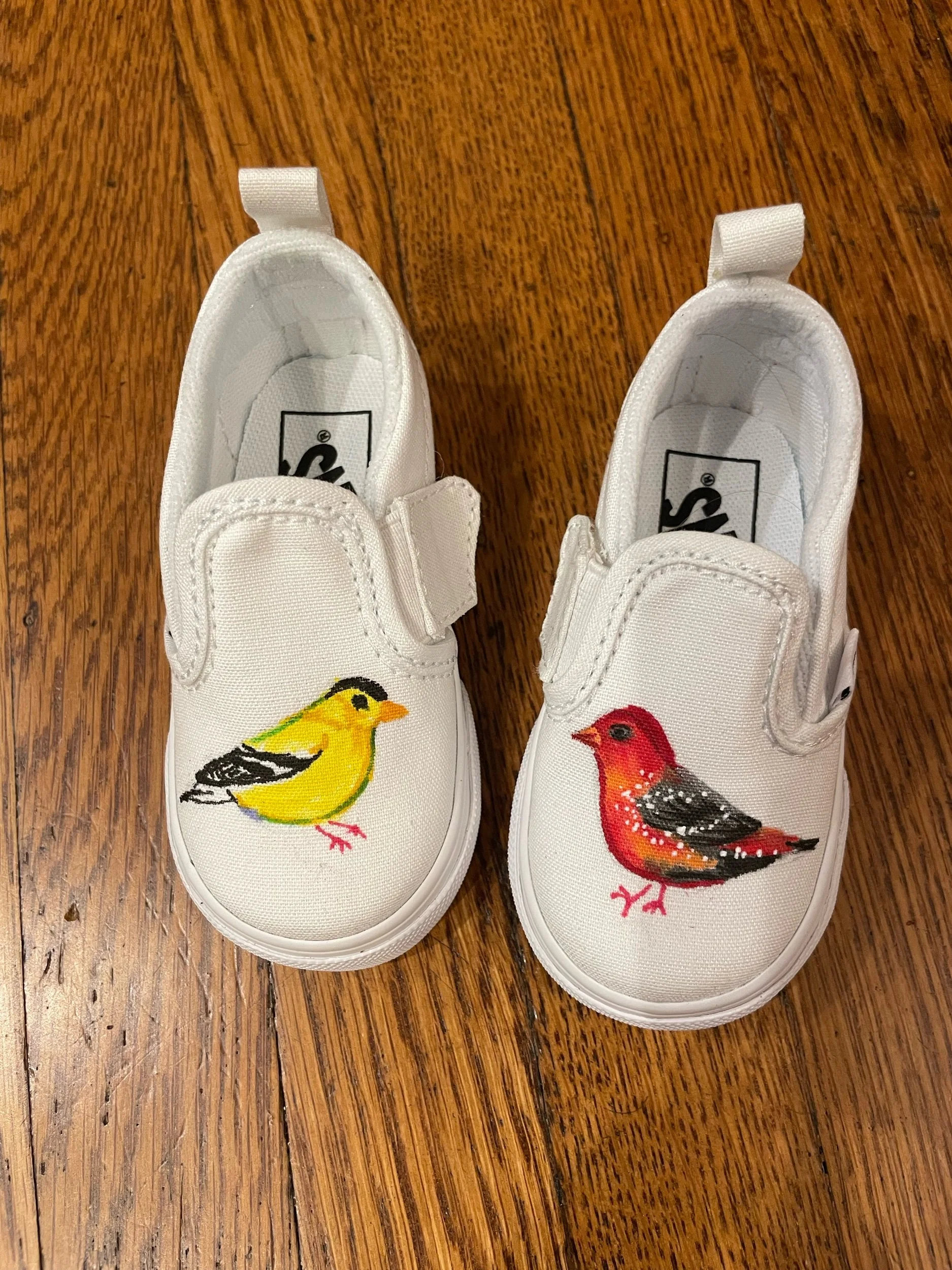 First shoes: American goldfinch and Strawberry finch 