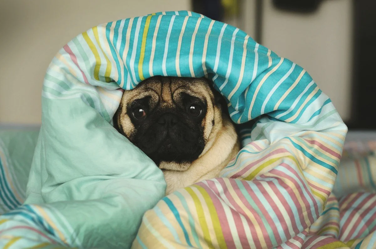 Pursuing Laziness