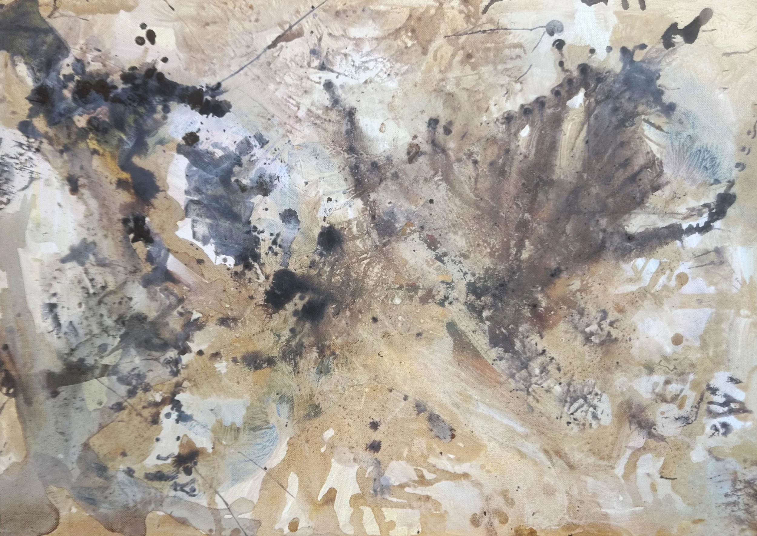 Phoebe Newsletter.jpeg