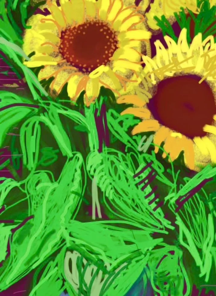 Vale DavidHockney.jpg