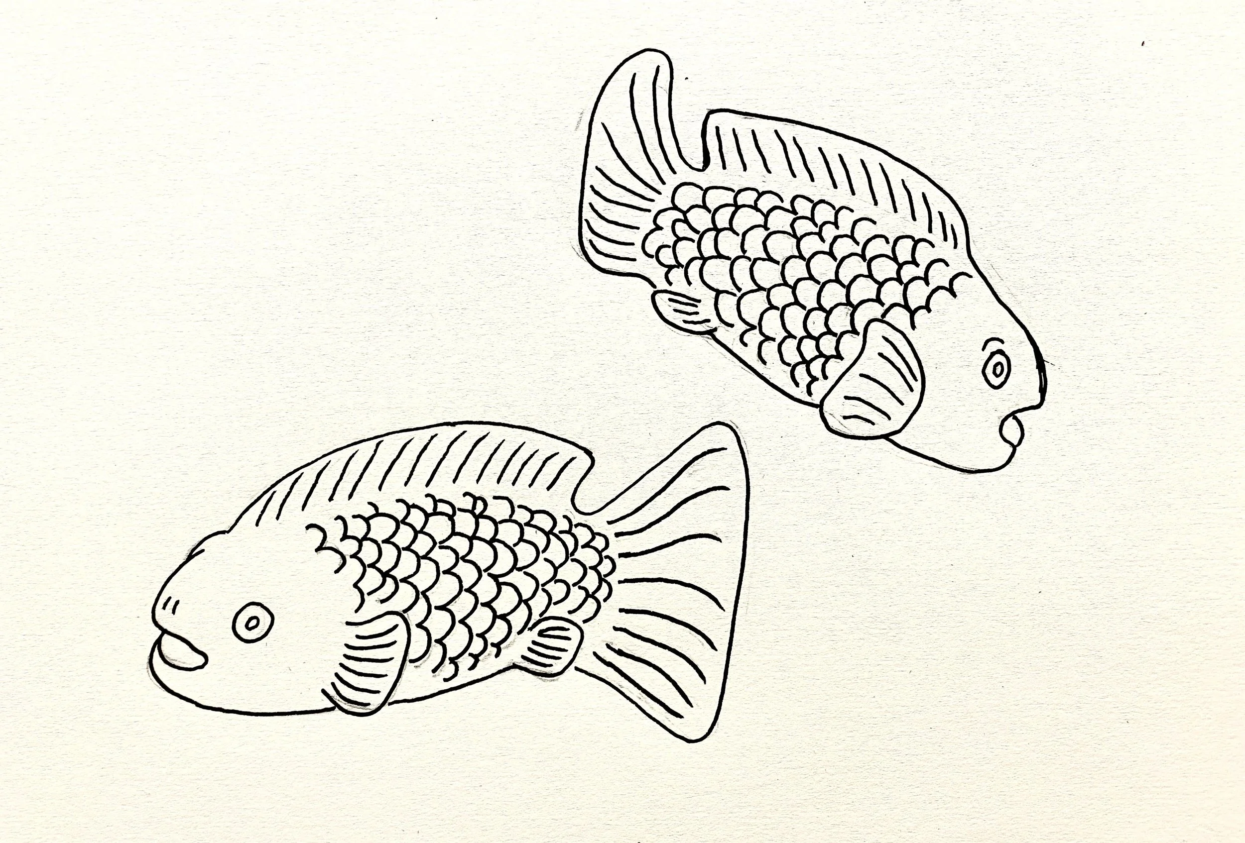 Fish Drawing.jpg