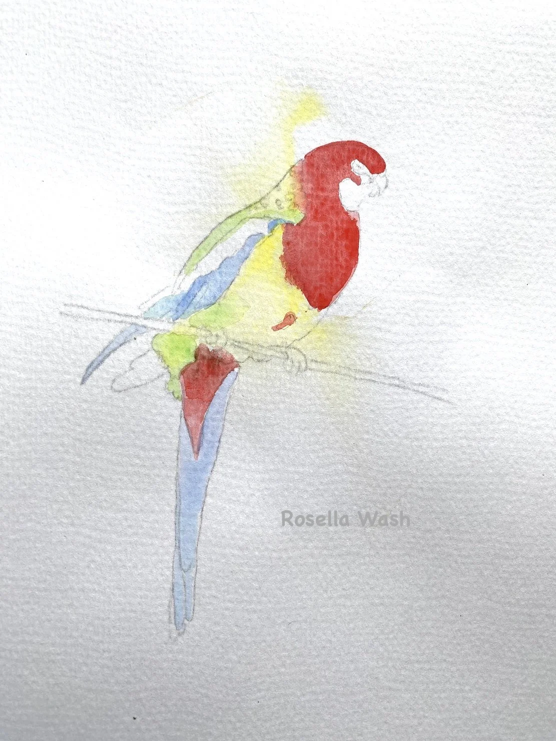Rosella Wash.JPG