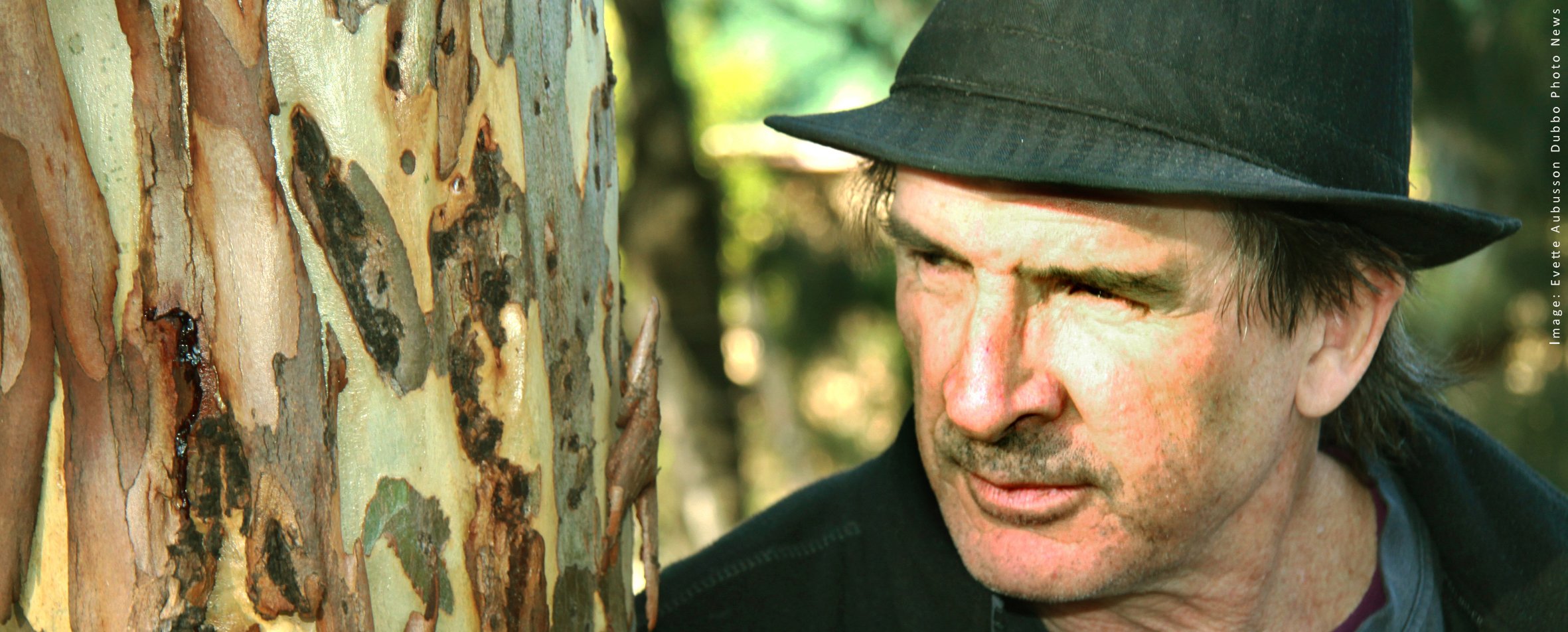 Drawing Trees with Jack Randell