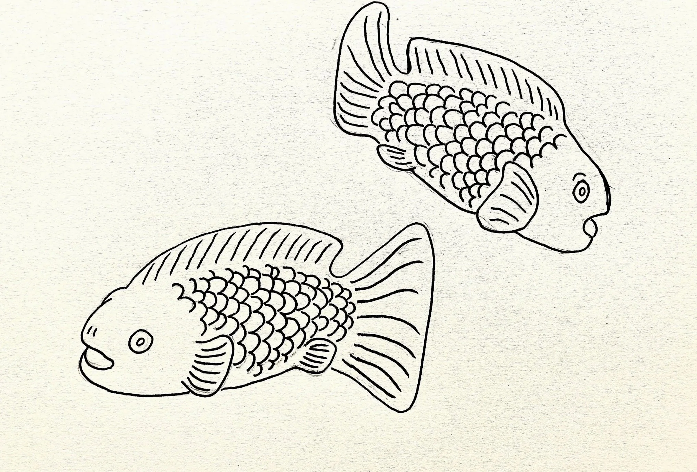 Fish+Drawing.jpg