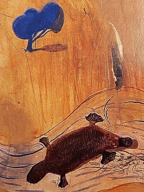 Platypus.jpg