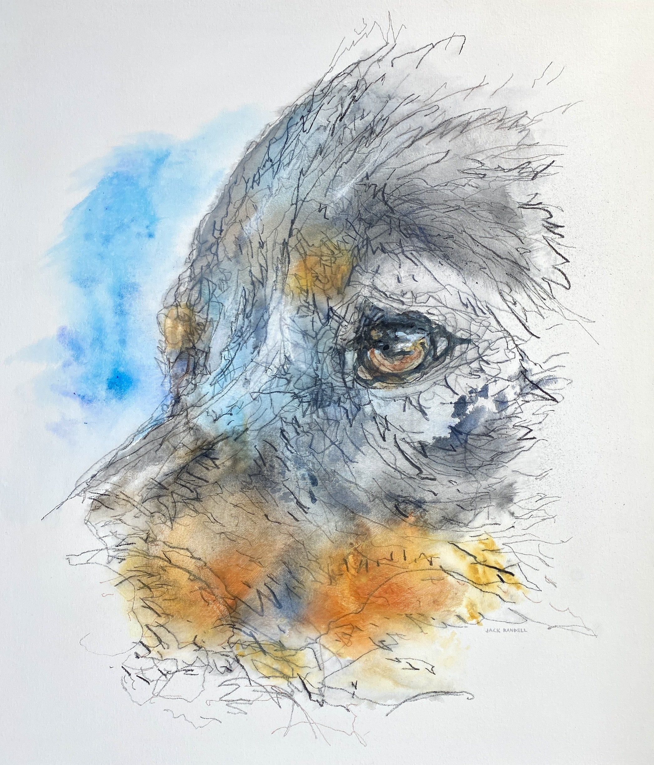 "Animality" Exhibition