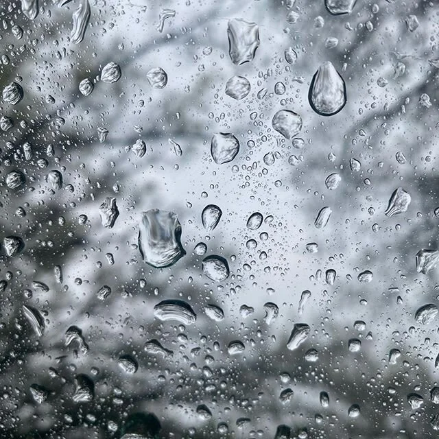 Rain is a good thing out here in the country! ❤️🥰☔️ But it&rsquo;s not April yet.