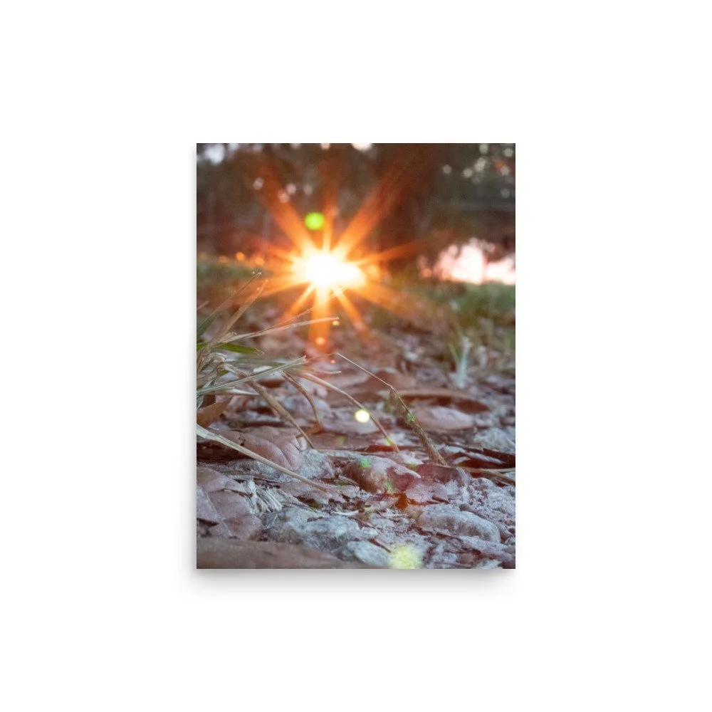 enhanced-matte-paper-poster-(in)-12x16-front-66690ff4e3d89.jpg
