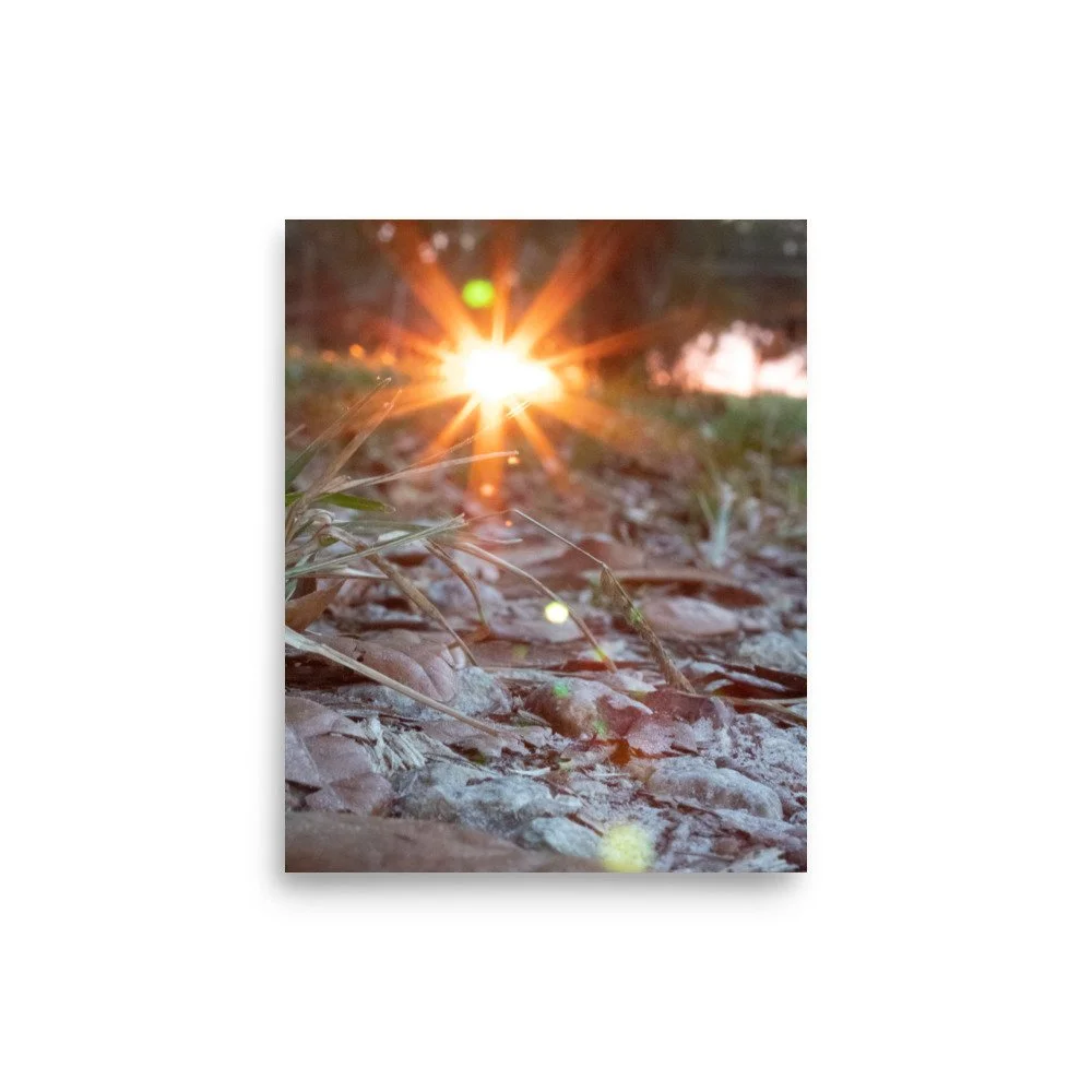 enhanced-matte-paper-poster-(in)-8x10-front-66690ff4e4134.jpg