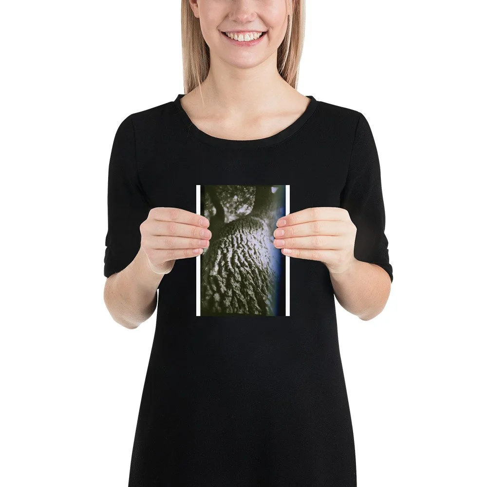 enhanced-matte-paper-poster-(in)-5x7-person-6abbfe5f81034.jpg