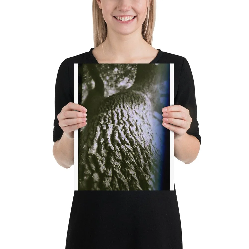 enhanced-matte-paper-poster-(in)-11x14-person-6abbfe5f8061d.jpg