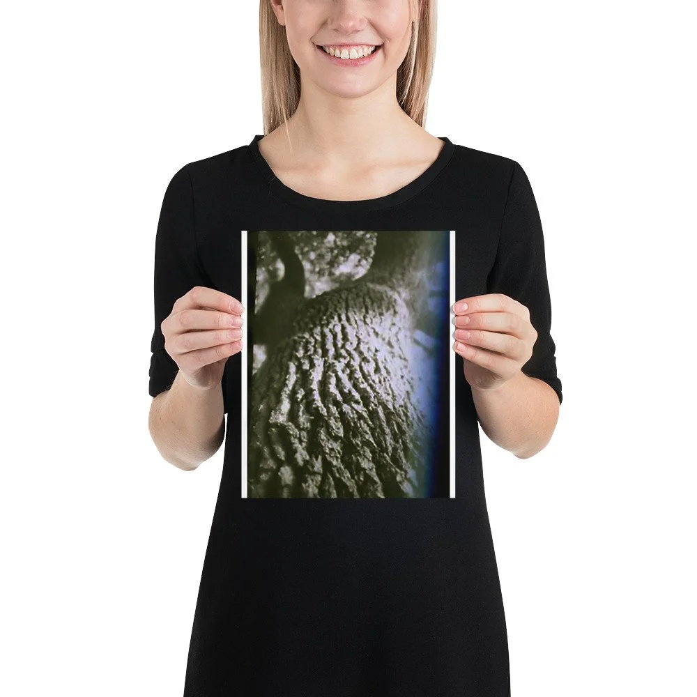 enhanced-matte-paper-poster-(in)-8x10-person-6abbfe5f7d25c.jpg