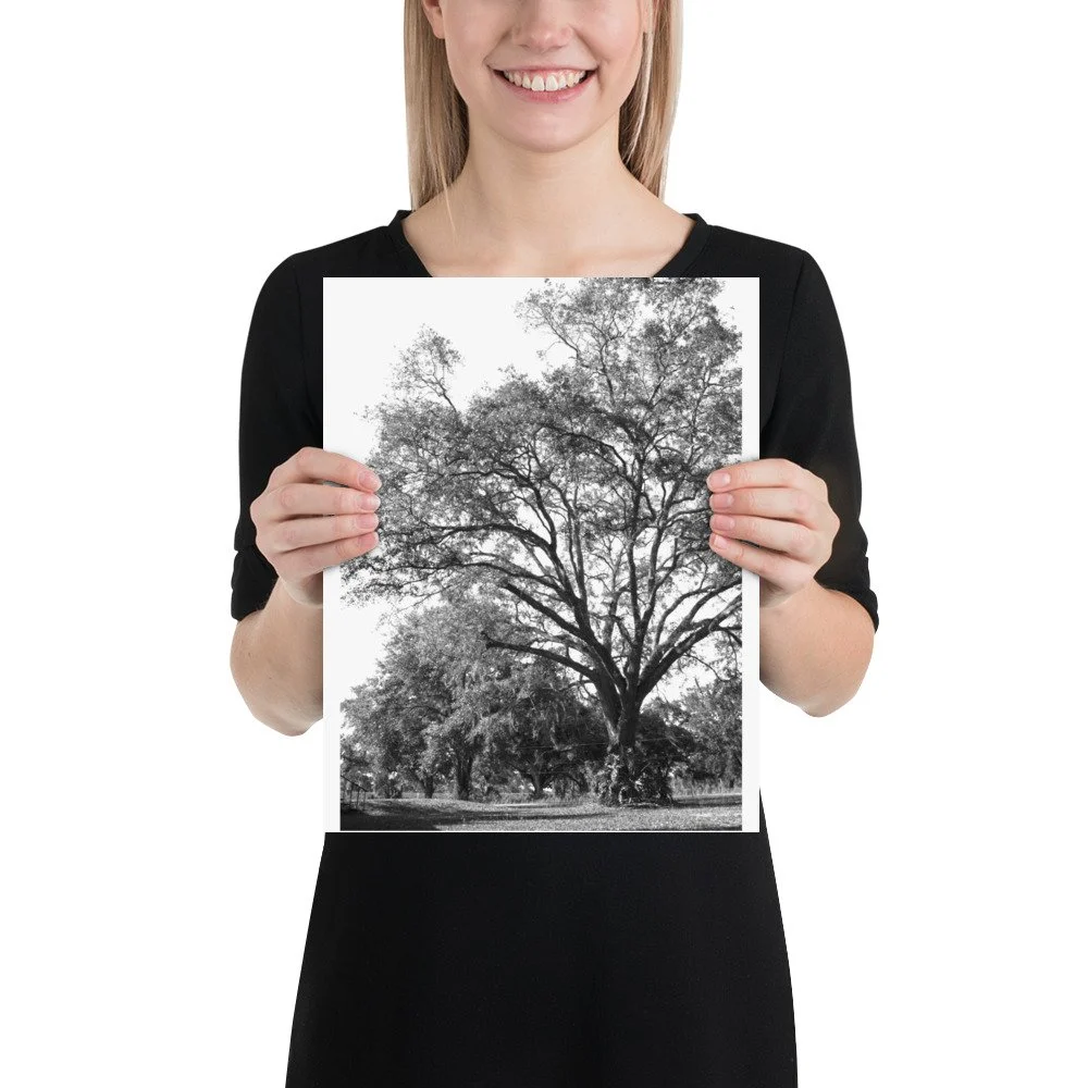 enhanced-matte-paper-poster-(in)-11x14-person-6abc021d85c0d.jpg
