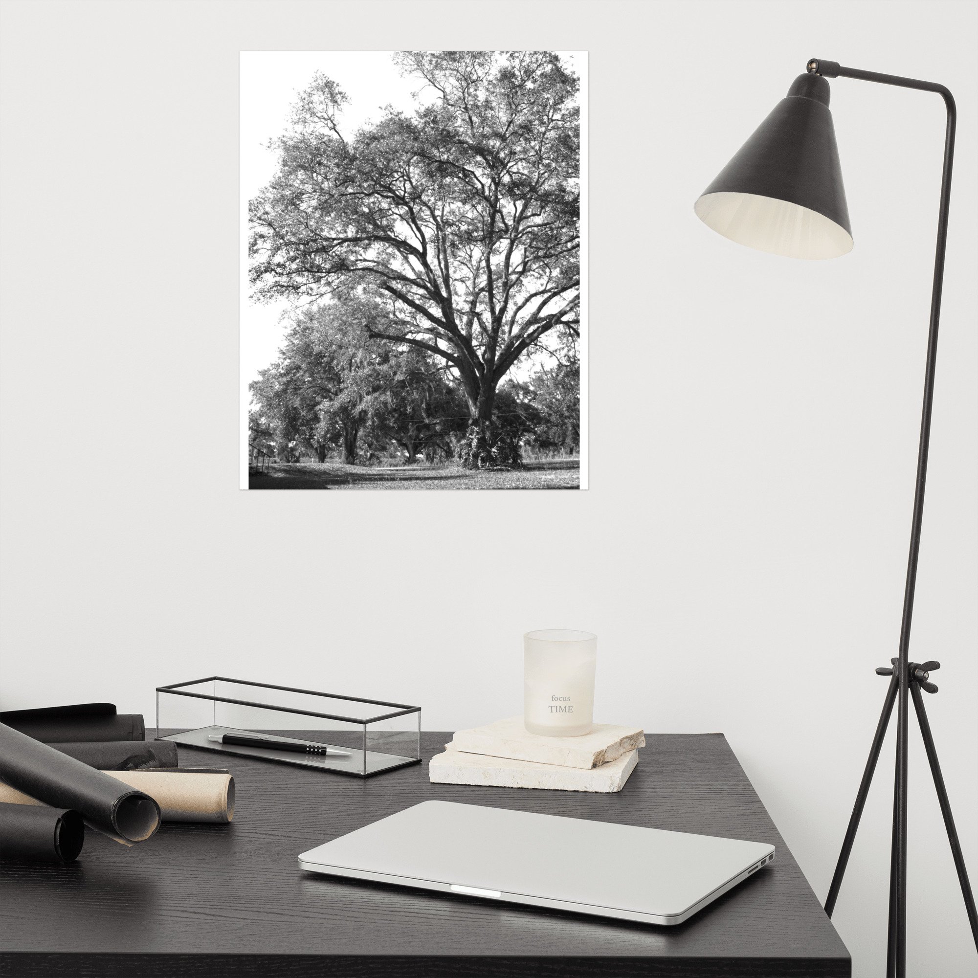 enhanced-matte-paper-poster-(in)-16x20-front-6abc021d852d8.jpg