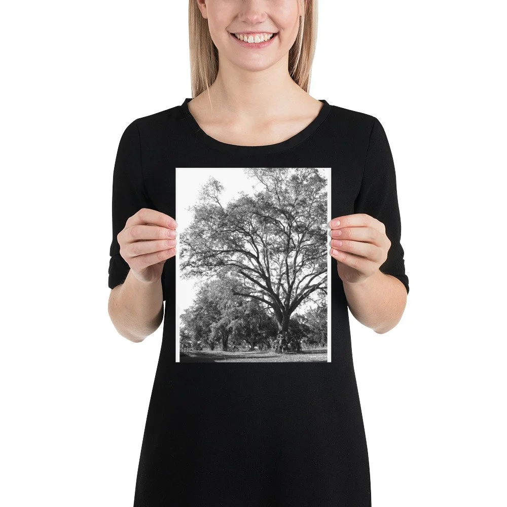 enhanced-matte-paper-poster-(in)-8x10-person-6abc021d82e27.jpg