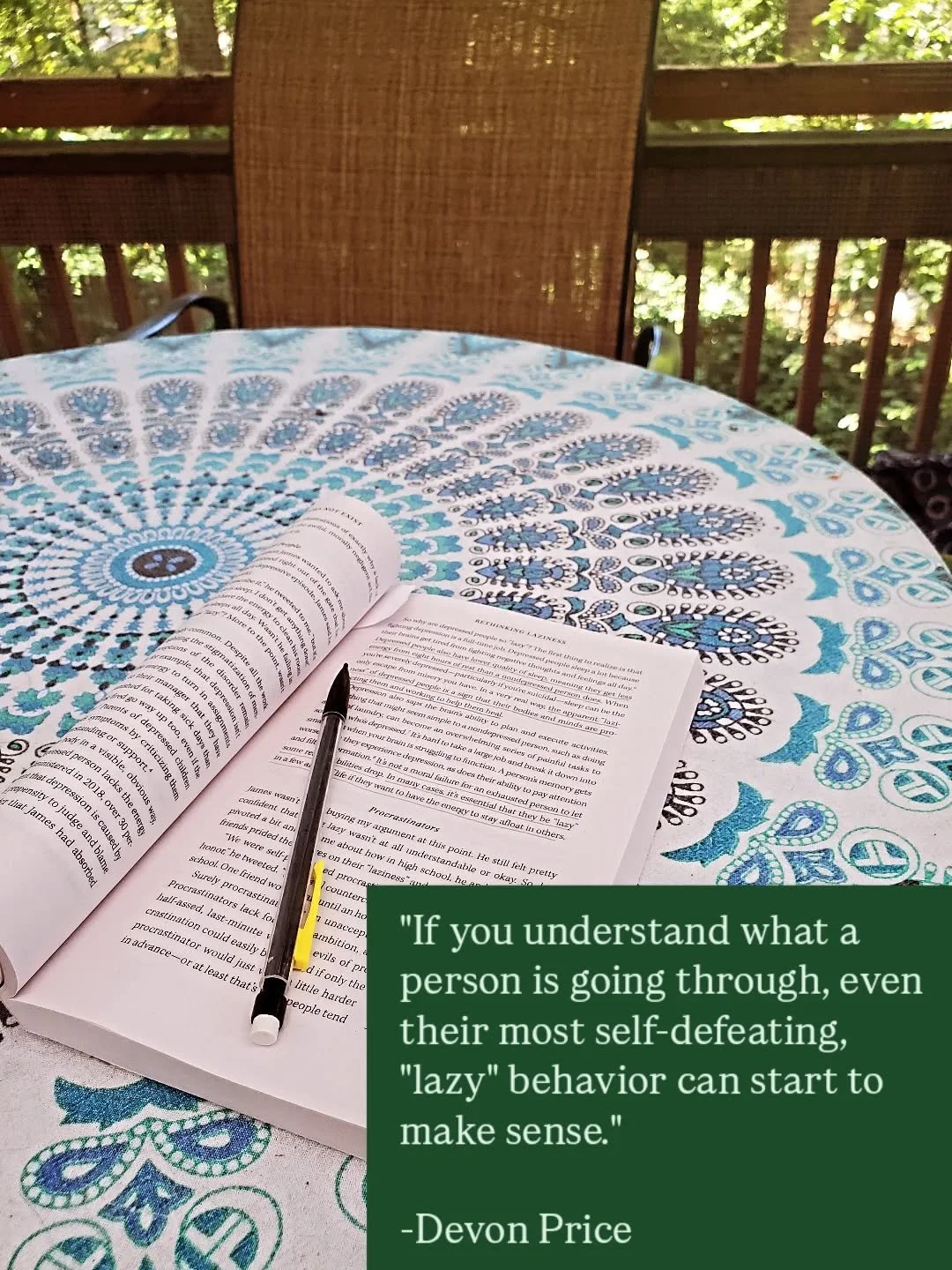 Quote from &quot;Laziness Does Not Exist&quot; by Devon Price