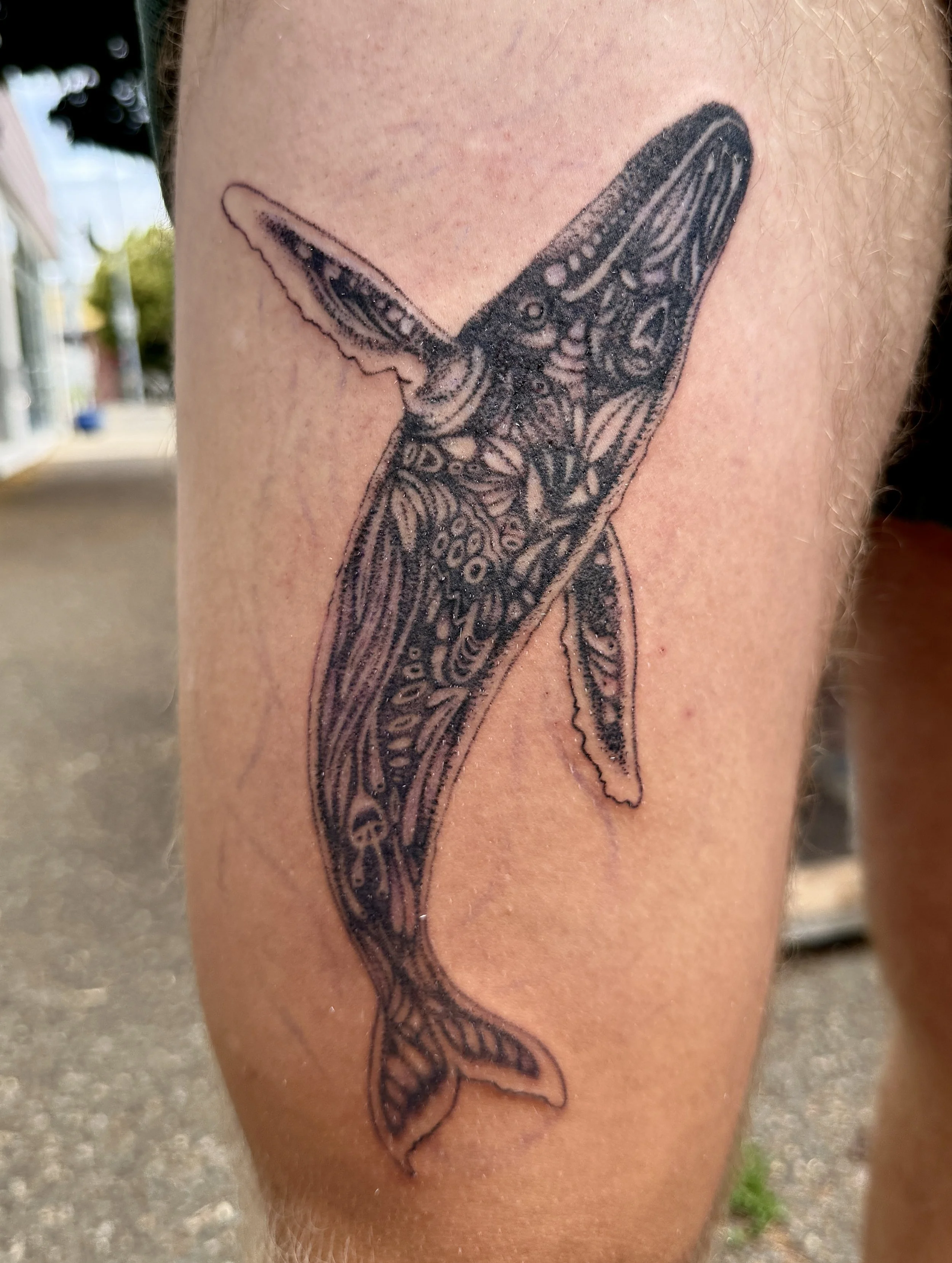 Ornamental whale.JPEG