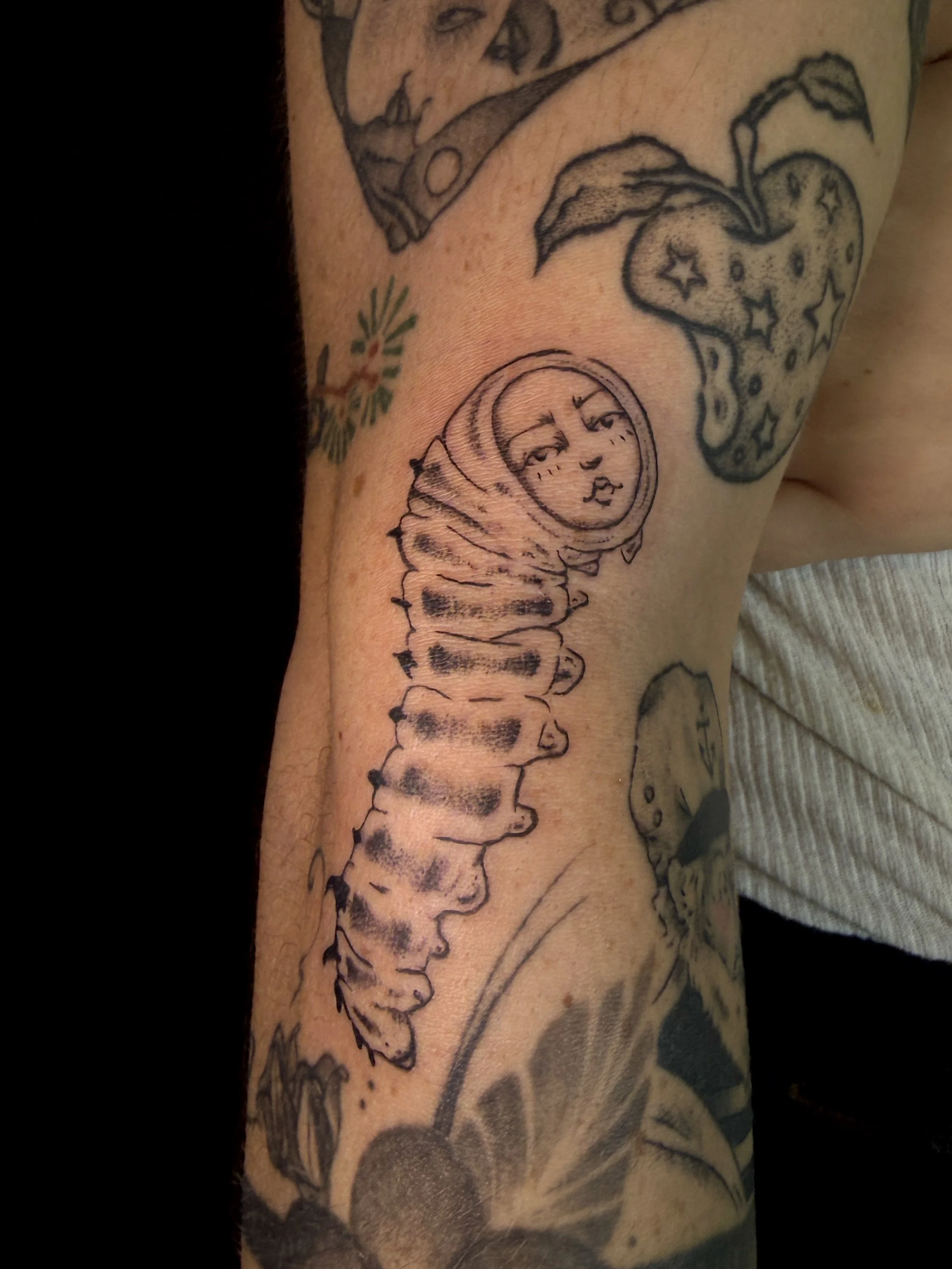 caterpillar.JPEG