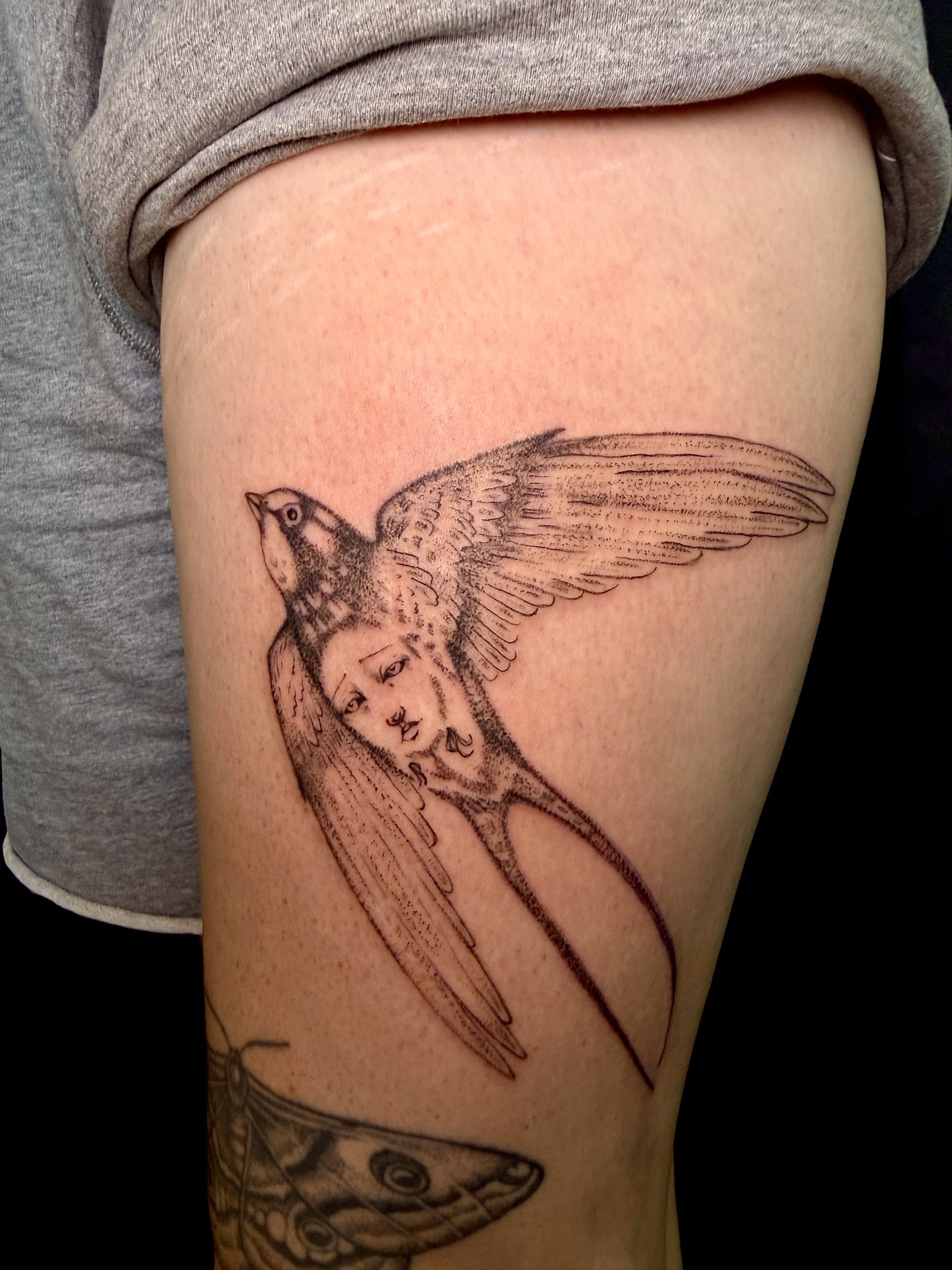 bird.JPEG