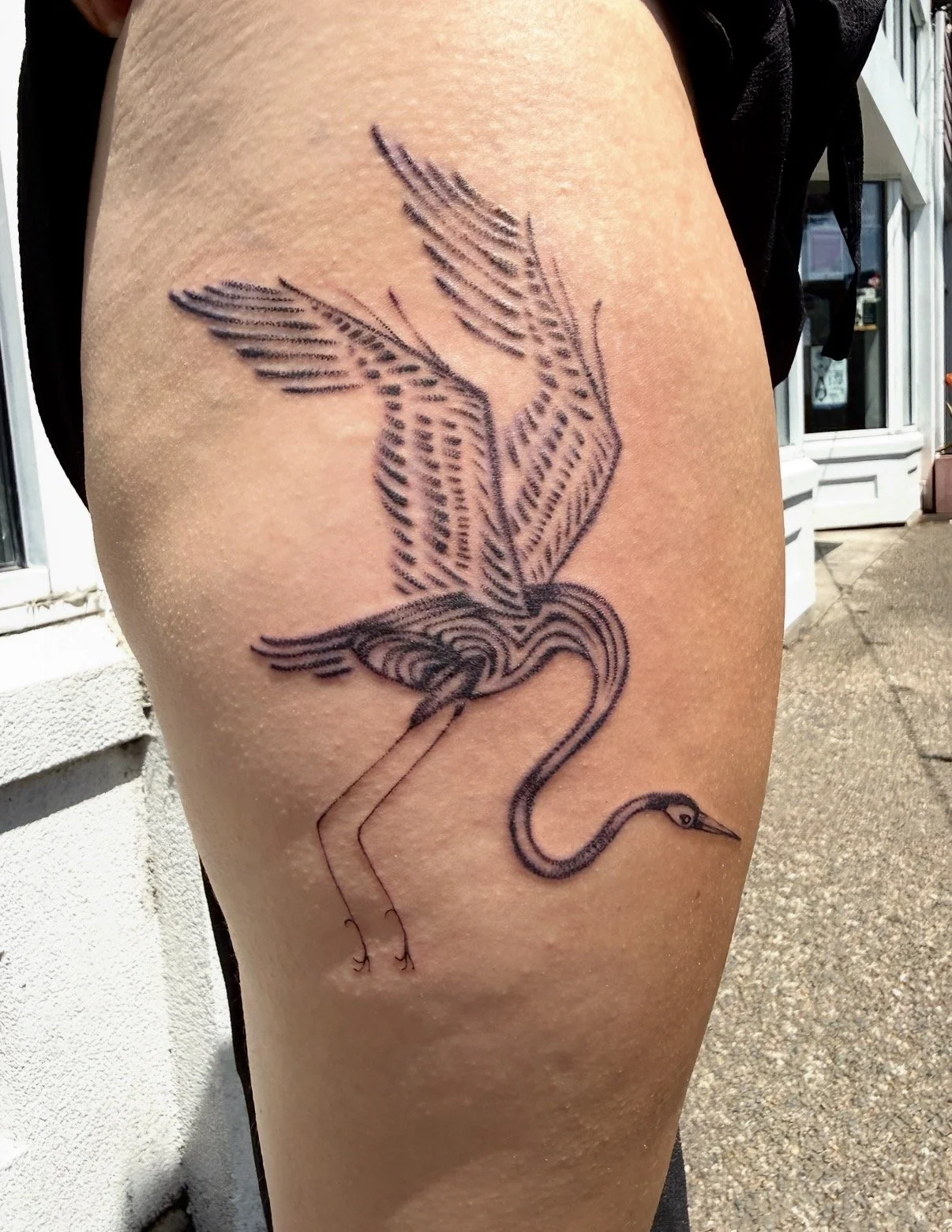 Stipple crane.JPEG