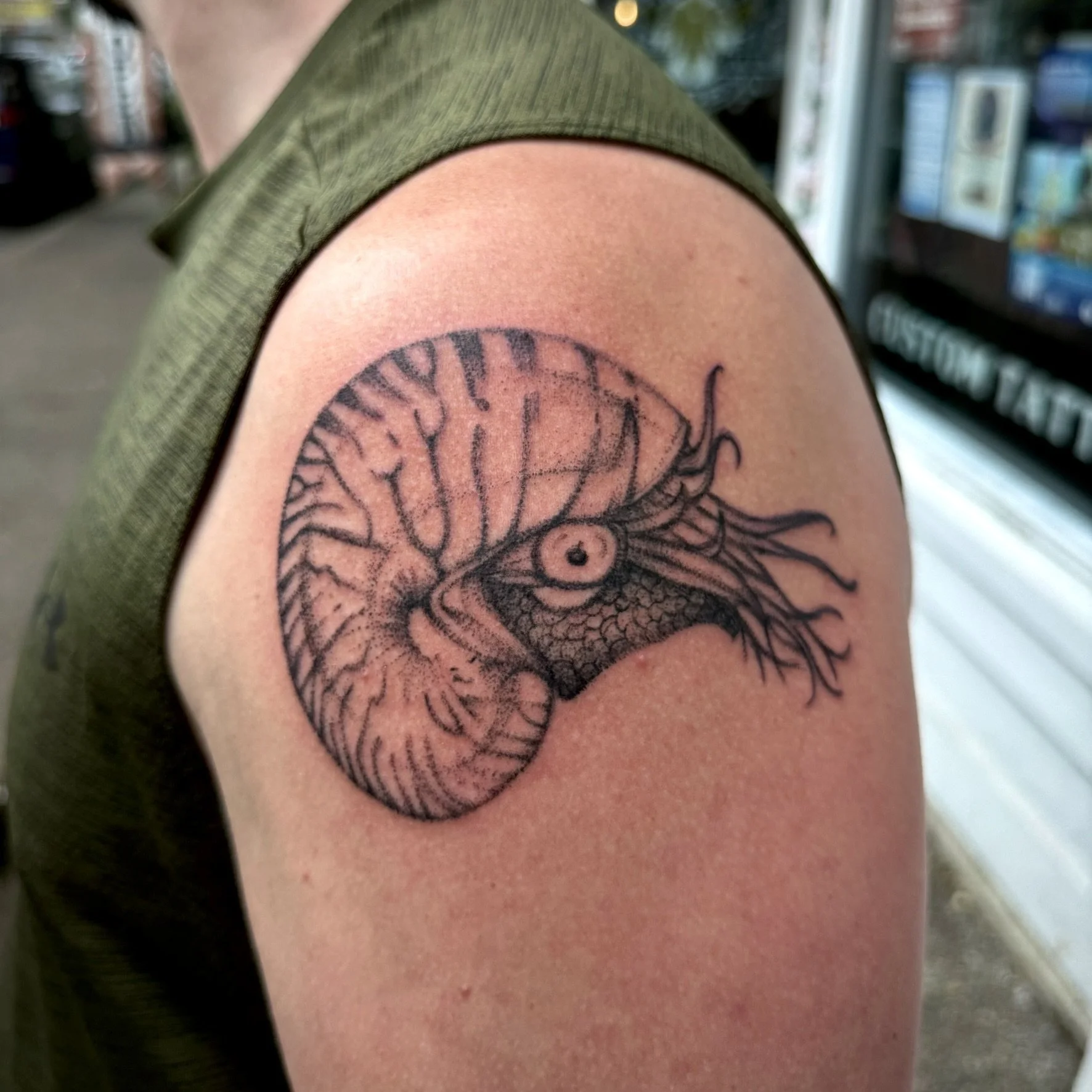 nautilus.JPEG