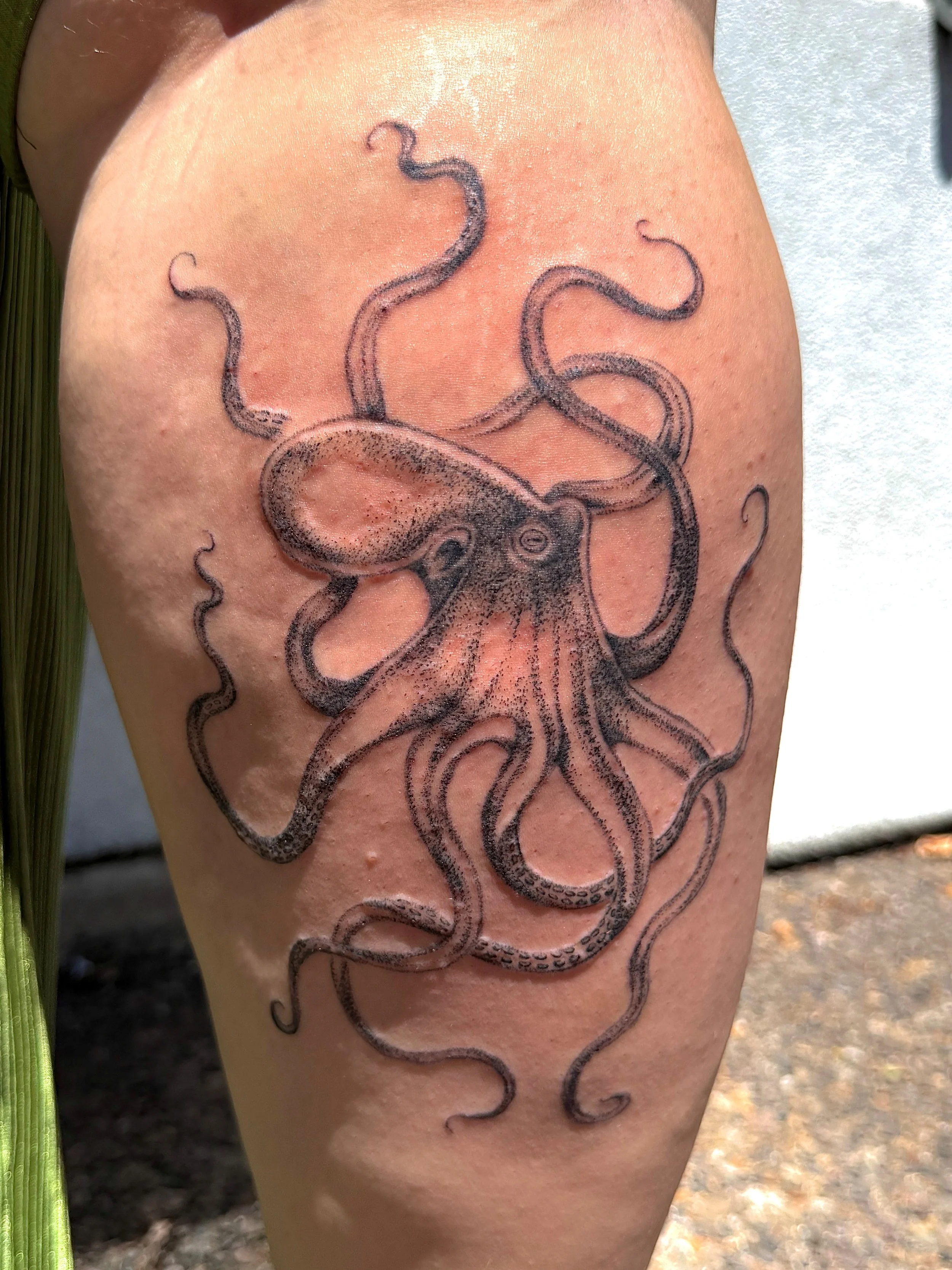 Octopus.jpg