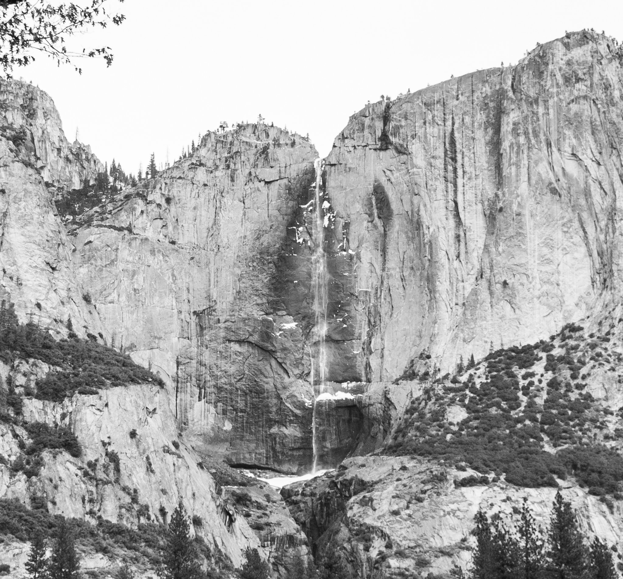 bridal veil