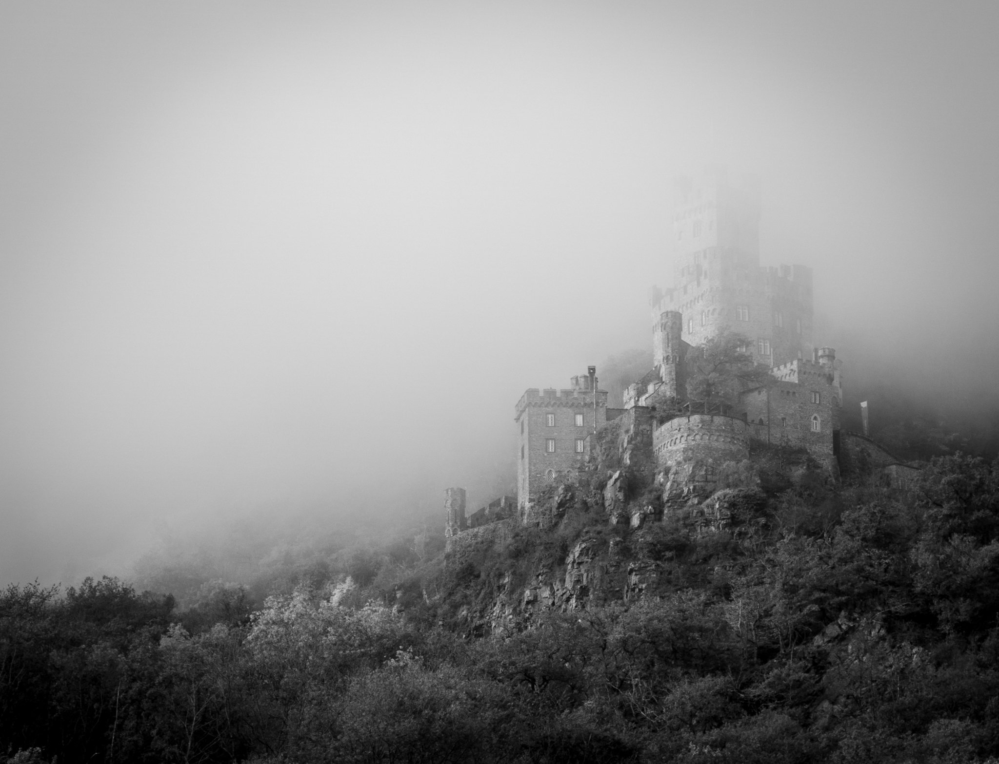black and white danube