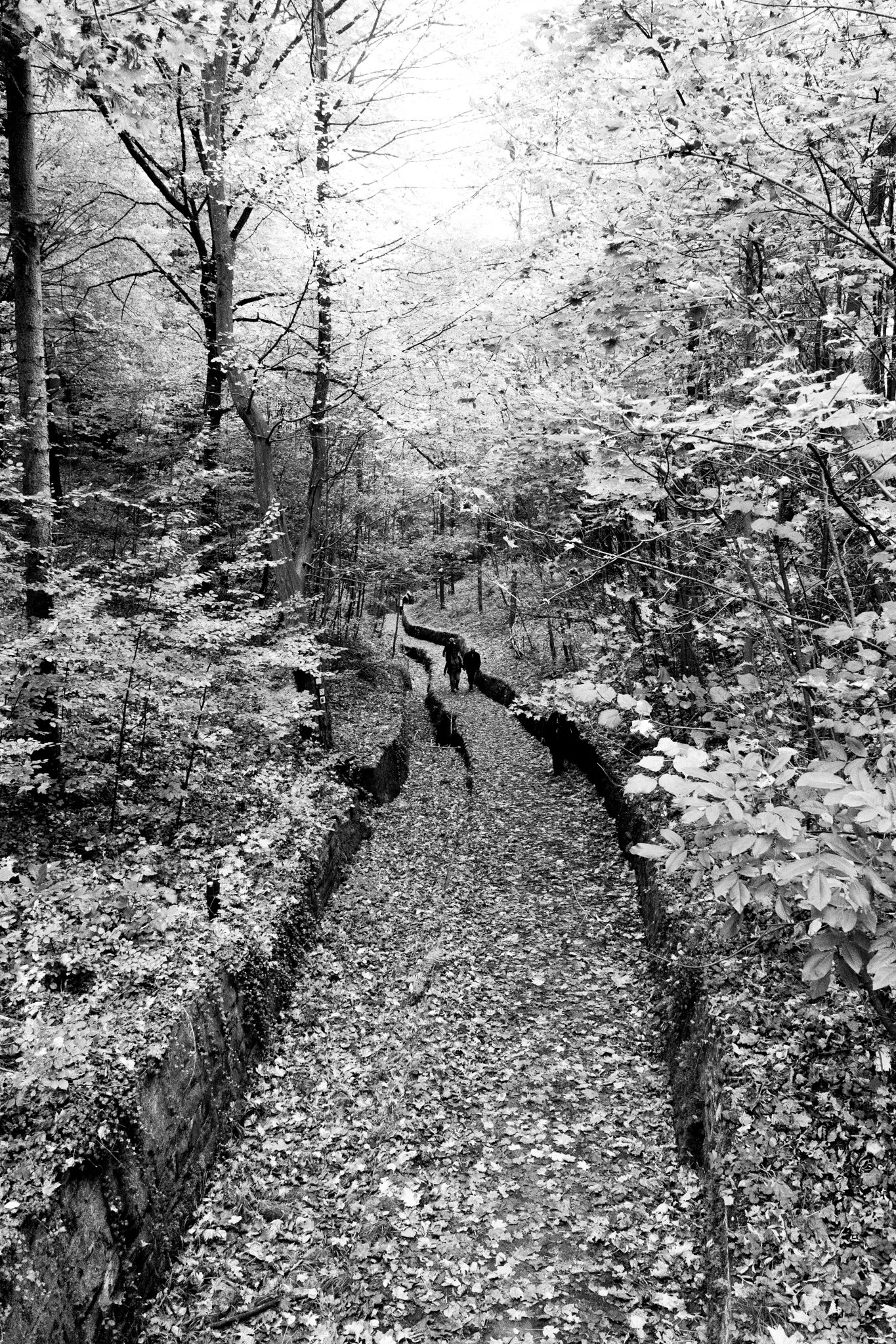 mittenburg path