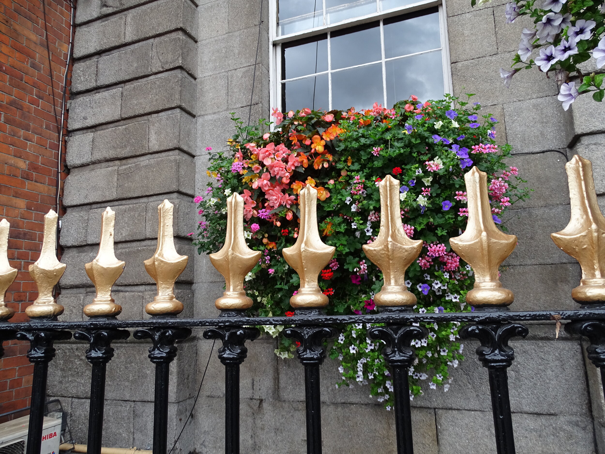 A Wonderful Window Box 