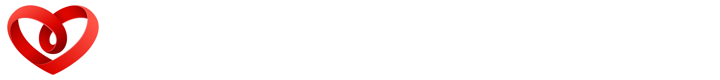 A COACH FOR YOUR HEART