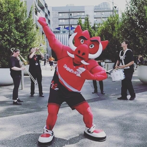 Cannot wait to be bring the party with @razortherazorback for @swinburne welcome week soon! Be sure you catch us around campus for all the fun!
.
.
.
#Swinburne #brassband #marchingband #marching #livemusic #melbournemusic #party #dance #welcomeweek 