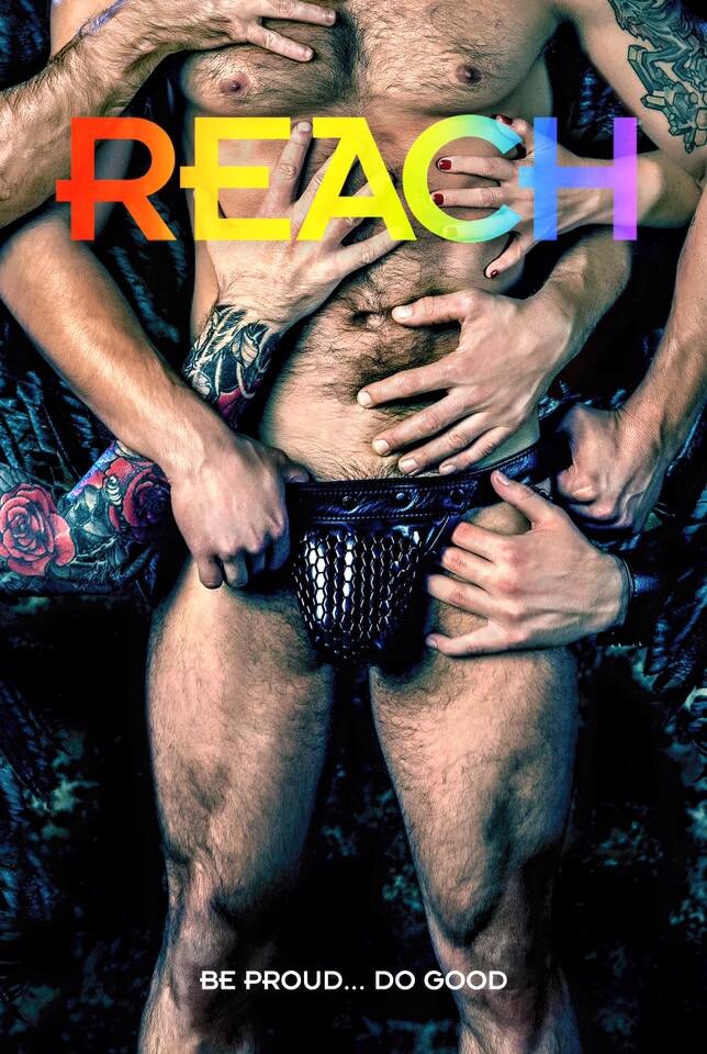 REACH 2015 Poster
