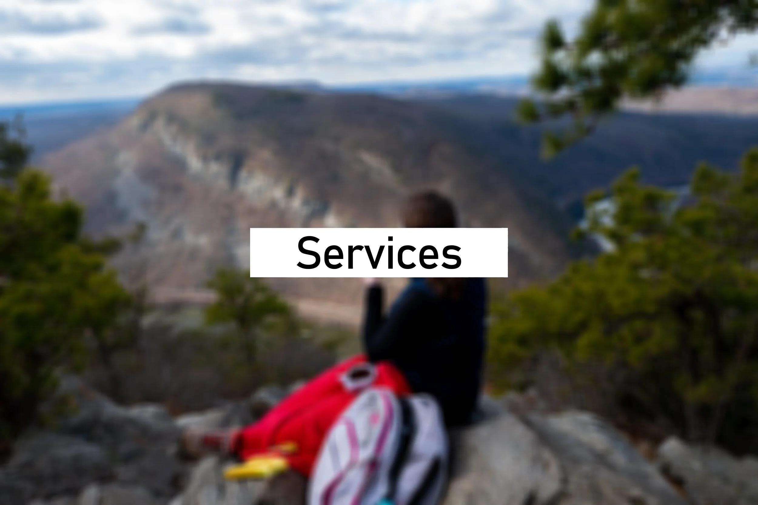 Services w title.jpg
