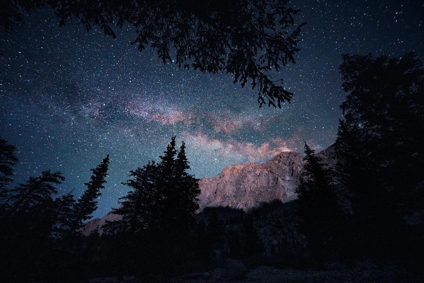 Not a bad view from the tent 😍✨🏕🌟