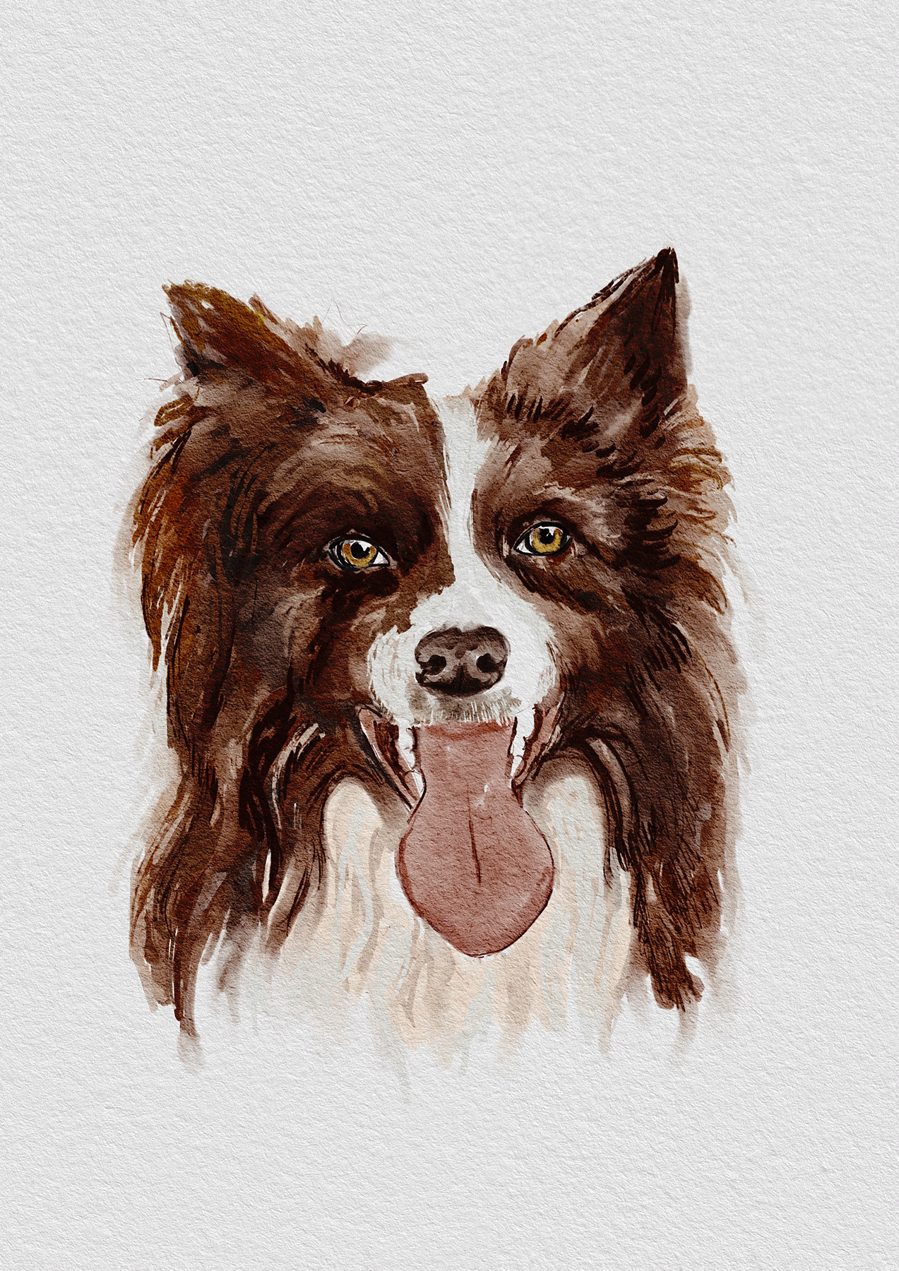 petz.gif