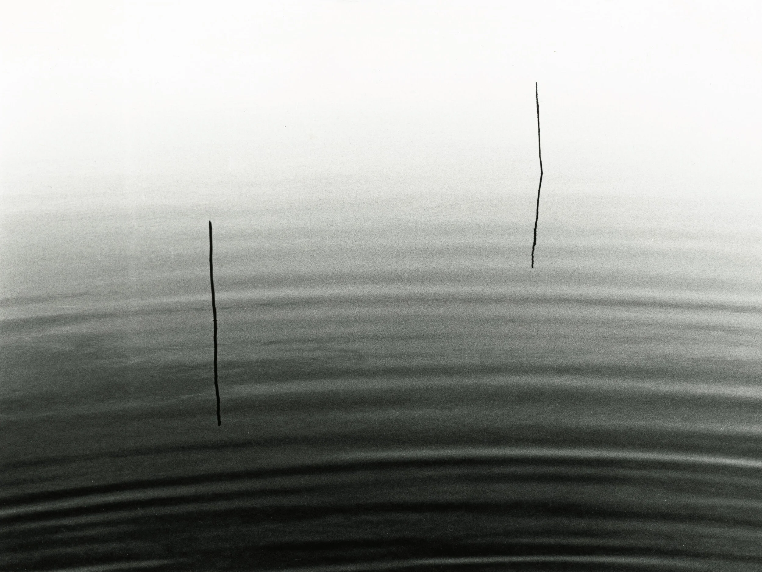 Reeds 2.jpg