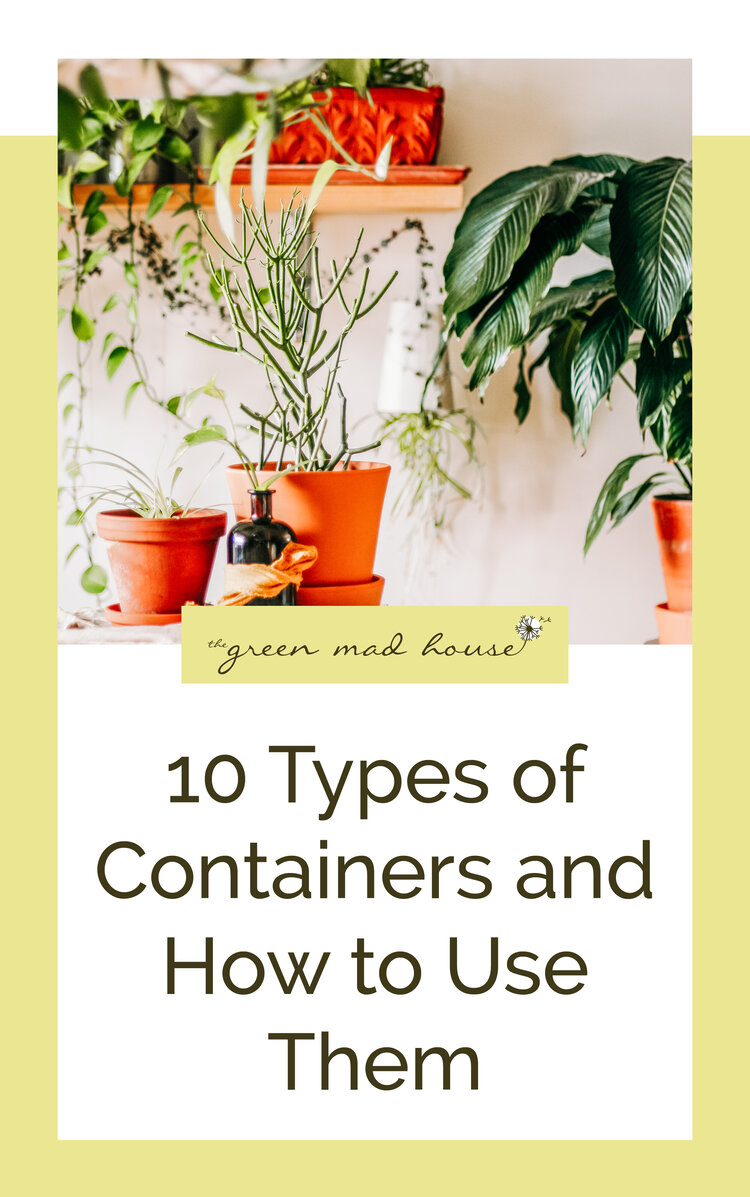 10 Types of Containers and How to Use Them