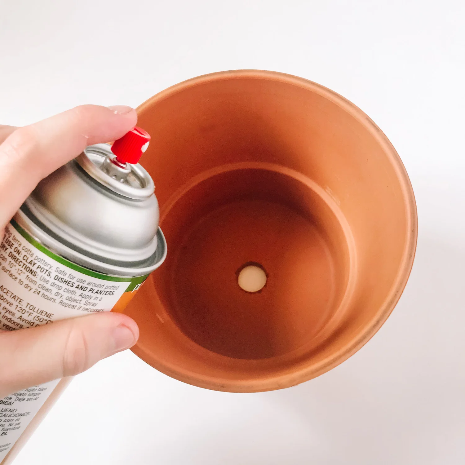How to Paint a Terracotta Pot — The Green Mad House