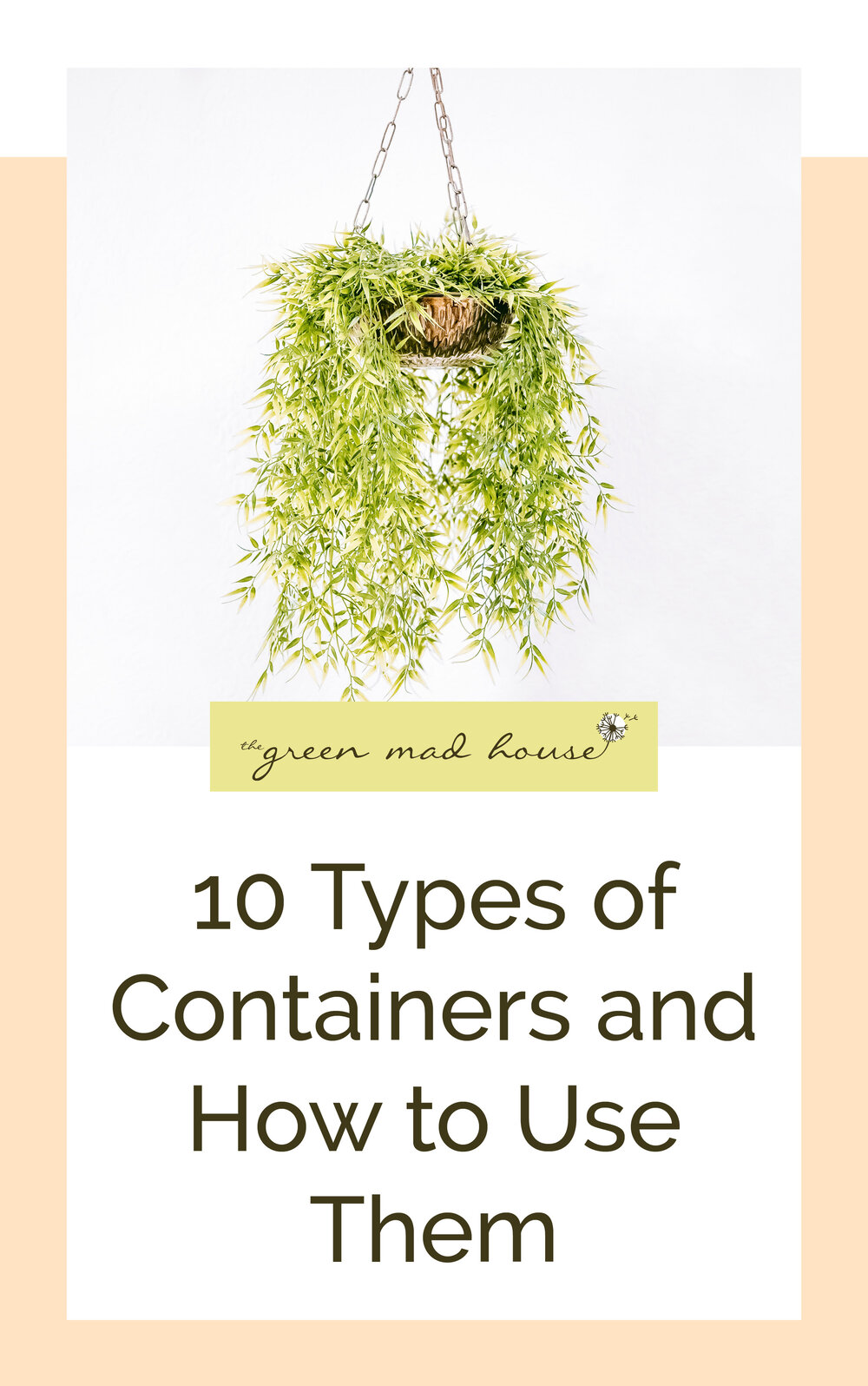 10 Types of Containers and How to Use Them