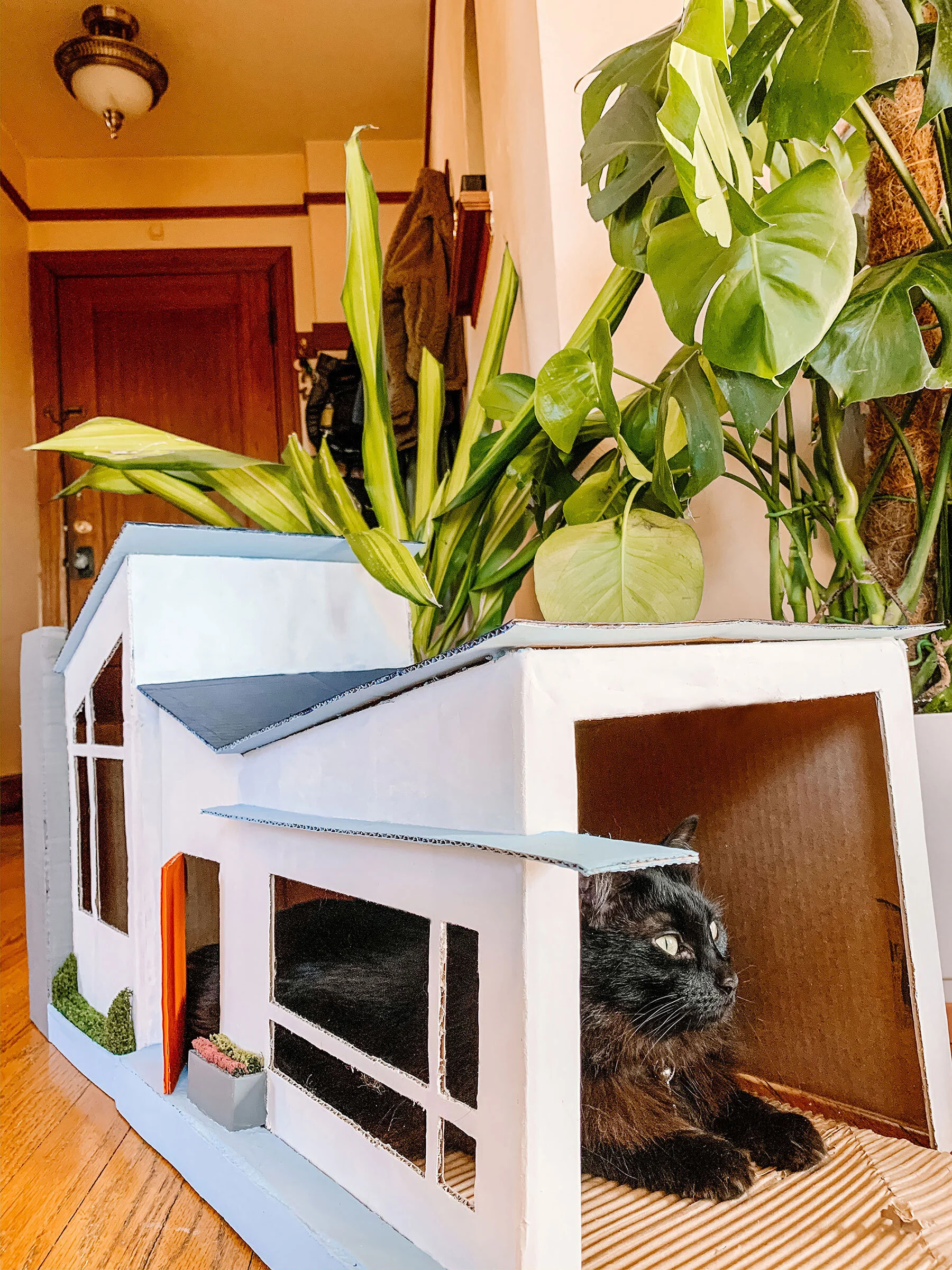 How To Make A Cardboard Cat House The Green Mad House