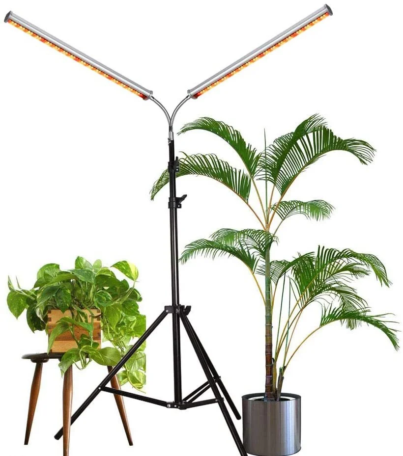 Beginner's Guide to Choosing and Using Grow Lights — The Green Mad House