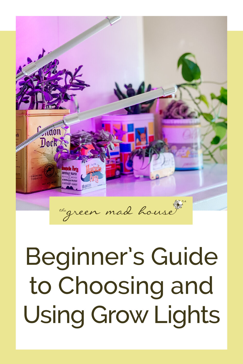 Beginner's Guide to Choosing and Using Grow Lights — The Green Mad House