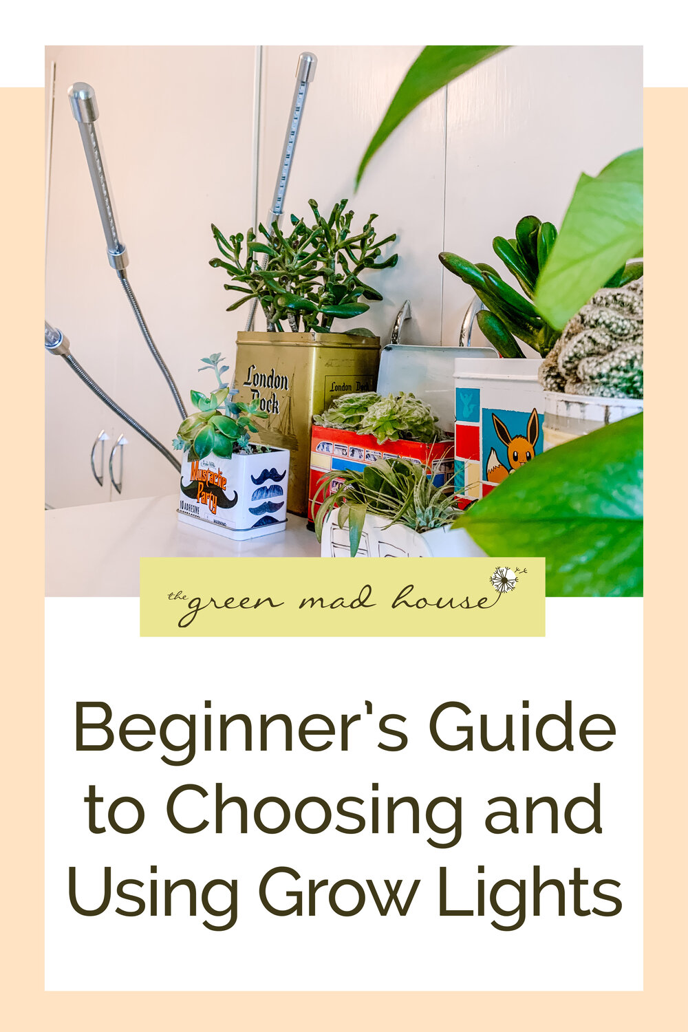 Beginner's Guide to Choosing and Using Grow Lights