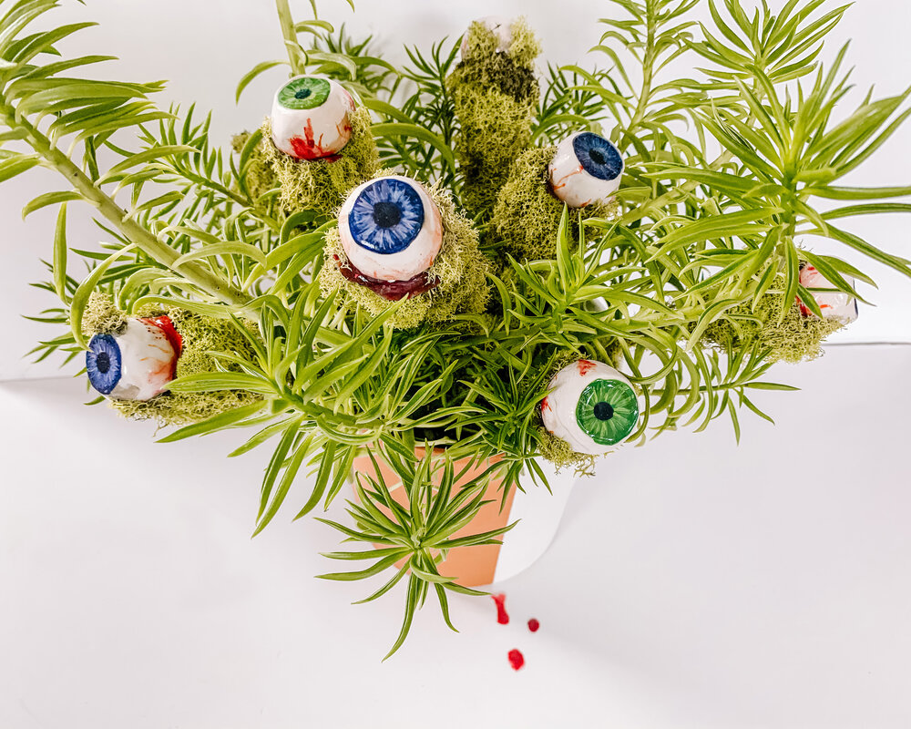 Eyeball-Plant-Stake-Cover.jpg