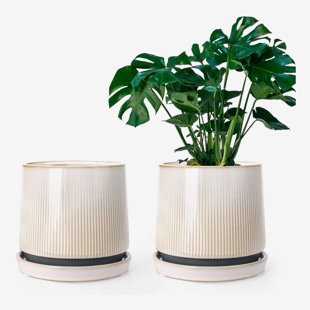 Set of 2 Ceramic Planters | $17.59